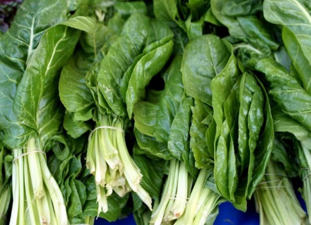 Foto - Düzenli tüketildiğinde kanser riskini sıfıra inridiyor