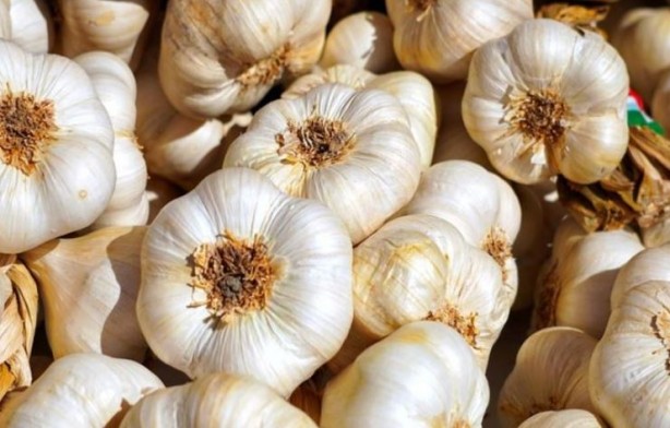 Foto - Düzenli tüketildiğinde kanser riskini sıfıra inridiyor