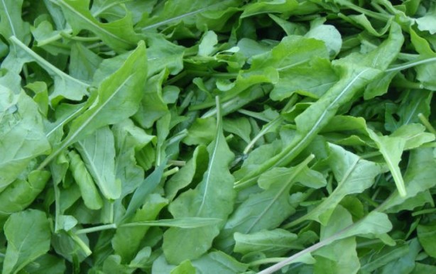 Foto - Düzenli tüketildiğinde kanser riskini sıfıra inridiyor