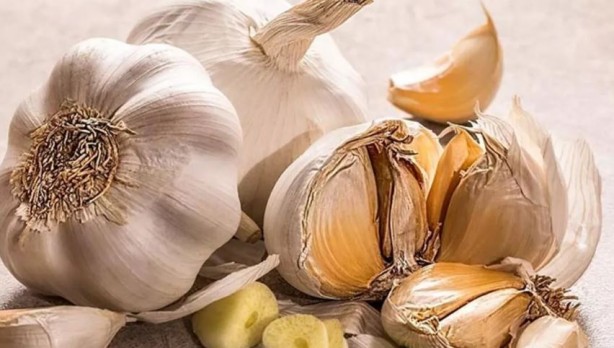 Foto - Düzenli tüketildiğinde kanser riskini sıfıra inridiyor