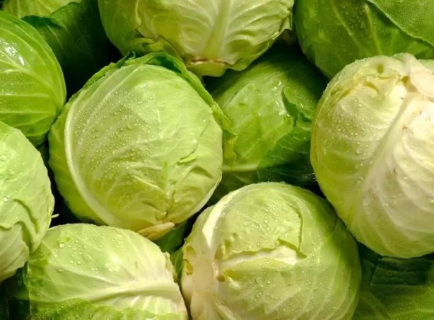 Foto - Düzenli tüketildiğinde kanser riskini sıfıra inridiyor