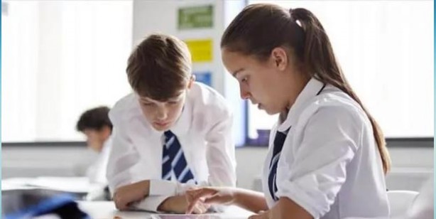 Foto - E okul sınıf geçme not sorgulama E okul veli bilgilendirme sistemi karne notu