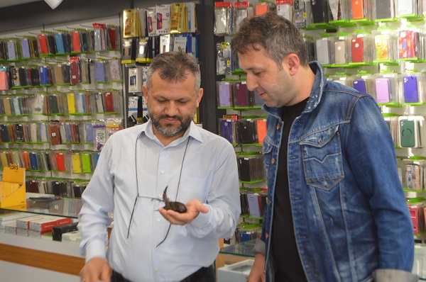 Foto - Ebabil kuşu 2 yıl sonra aynı yerde