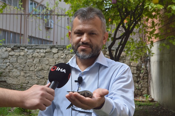 Foto - Ebabil kuşu 2 yıl sonra aynı yerde