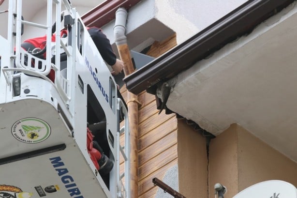 Ebabil kuşu, çatıdaki yağmur saçağına sıkıştı