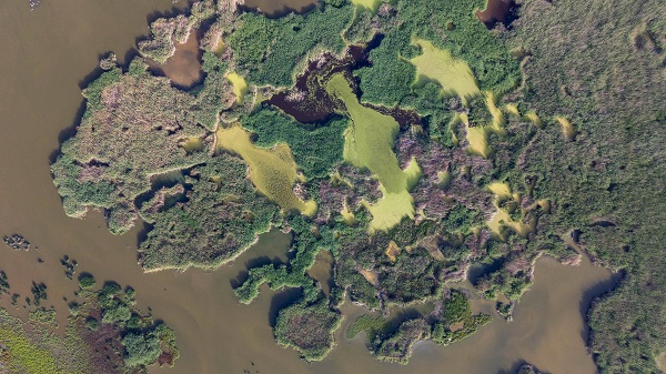 Eber Gölü'nde doğal yaşam görüntülendi