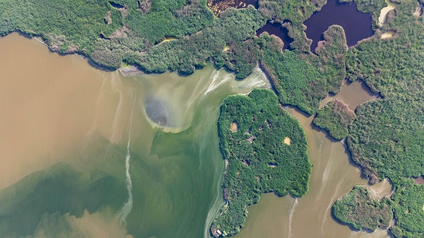 Foto - Eber Gölü'nde doğal yaşam görüntülendi