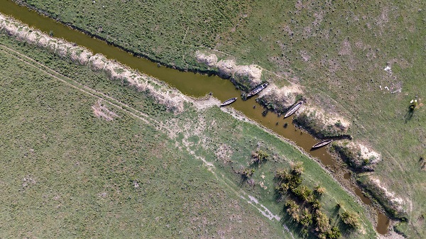 Foto - Eber Gölü'nde doğal yaşam görüntülendi