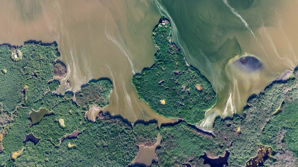 Foto - Eber Gölü'nde doğal yaşam görüntülendi