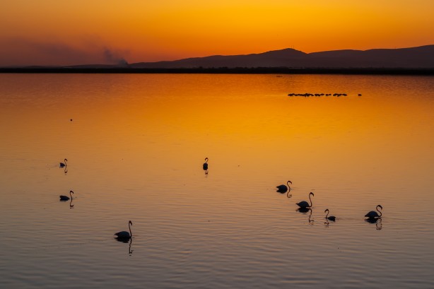 Foto - Eber Gölü’nden muhteşem görüntüler
