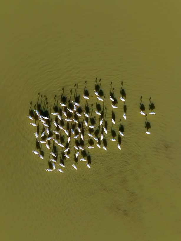 Foto - Eber Gölü’nden muhteşem görüntüler