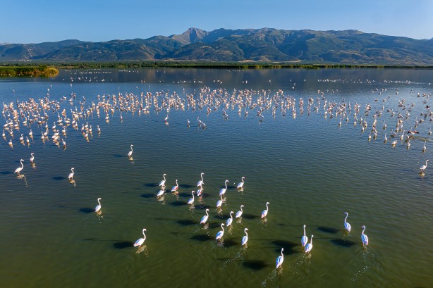 Foto - Eber Gölü’nden muhteşem görüntüler