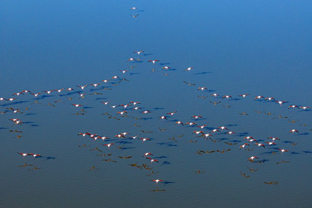 Foto - Eber Gölü’nden muhteşem görüntüler