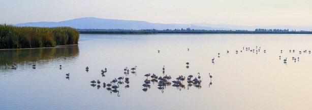 Foto - Eber Gölü’nden muhteşem görüntüler