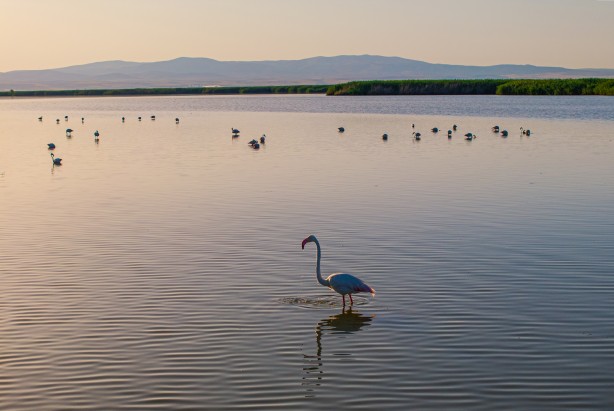 Foto - Eber Gölü’nden muhteşem görüntüler