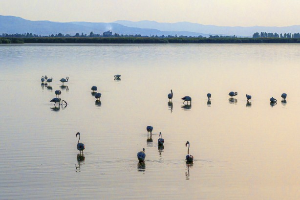 Foto - Eber Gölü’nden muhteşem görüntüler