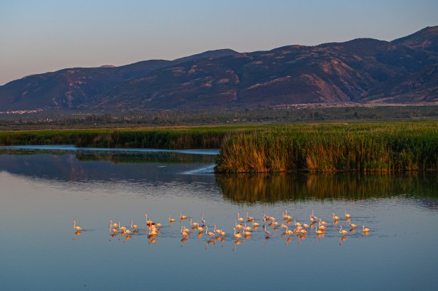Foto - Eber Gölü’nden muhteşem görüntüler