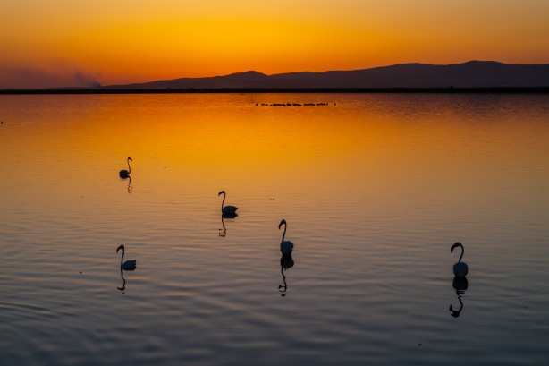 Foto - Eber Gölü’nden muhteşem görüntüler