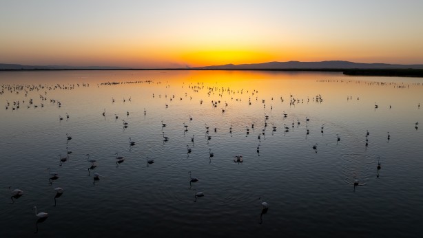 Foto - Eber Gölü’nden muhteşem görüntüler