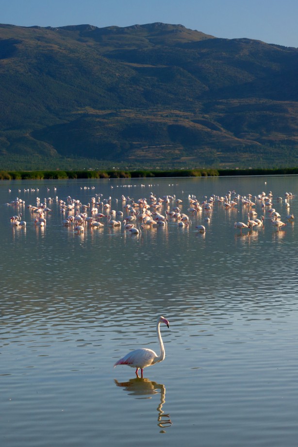 Foto - Eber Gölü’nden muhteşem görüntüler