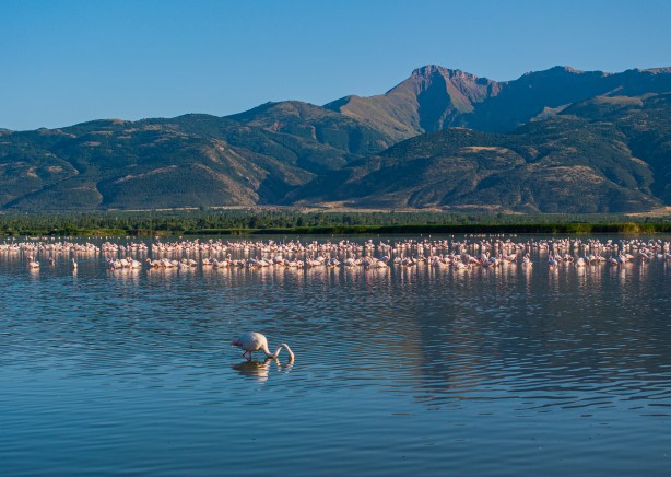 Foto - Eber Gölü’nden muhteşem görüntüler