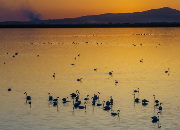 Foto - Eber Gölü’nden muhteşem görüntüler