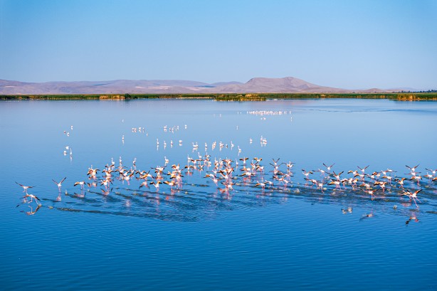 Foto - Eber Gölü’nden muhteşem görüntüler