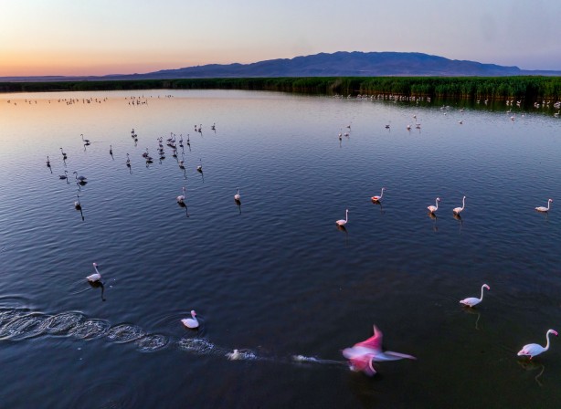 Foto - Eber Gölü’nden muhteşem görüntüler