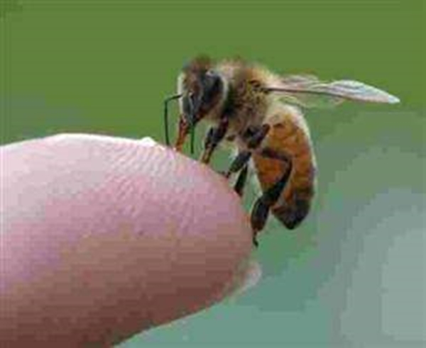 Foto - Ebeveynler dikkat!