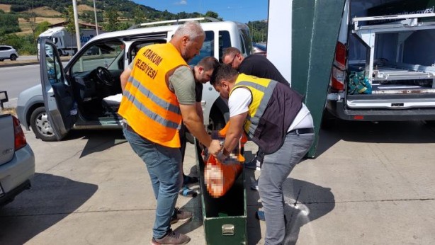 Foto - Ecel yolda yakaladı