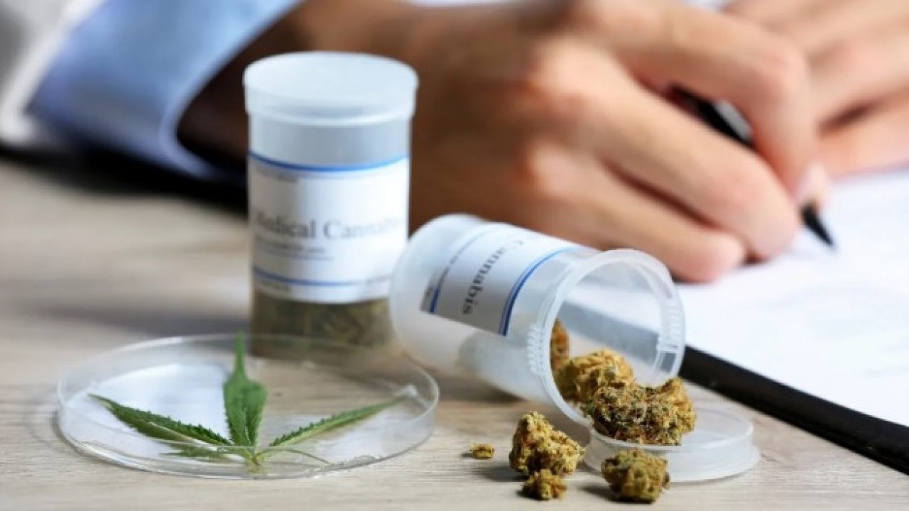 Eczanelerde kenevir satış dönemi başlıyor