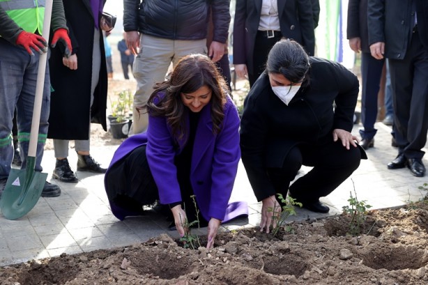 Foto - Edirne gülü üretiminin artması için düğmeye basıldı