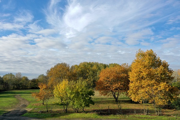 Foto - Edirne hazan renklerine büründü