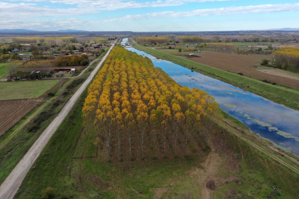 Foto - Edirne hazan renklerine büründü