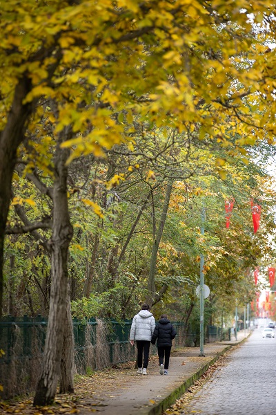 Foto - Edirne hazan renklerine büründü