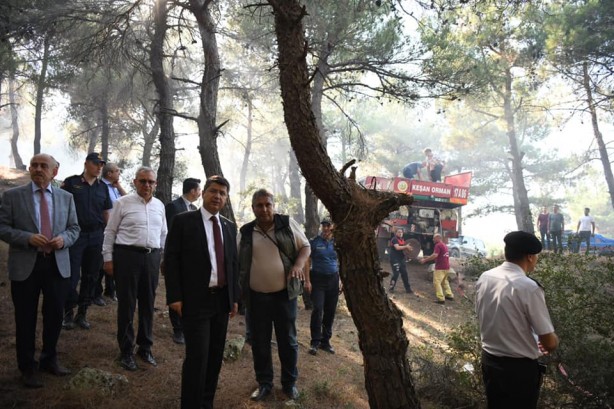 Foto - Edirne'de çıkan orman yangını söndürüldü