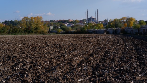 Foto - Edirne'de korkutan görüntü! Vatandaşların uykularını kaçırmaya başladı