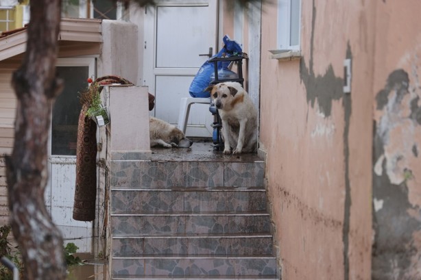 Foto - Edirne'yi şiddetli yağış vurdu!