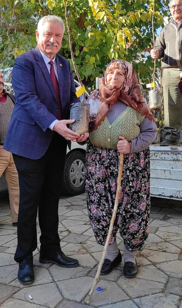 Foto - Efelerli üreticilere 5 bin 768 adet incir fidanı dağıtıldı