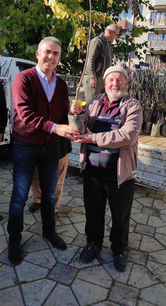 Foto - Efelerli üreticilere 5 bin 768 adet incir fidanı dağıtıldı