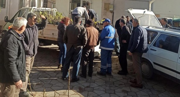 Efelerli üreticilere 5 bin 768 adet incir fidanı dağıtıldı