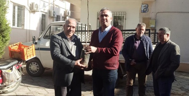 Foto - Efelerli üreticilere 5 bin 768 adet incir fidanı dağıtıldı