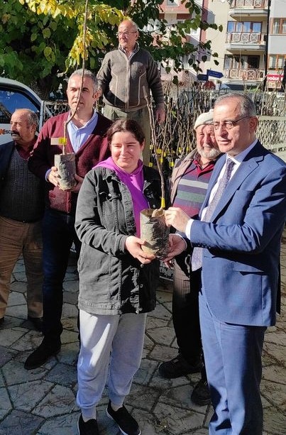 Foto - Efelerli üreticilere 5 bin 768 adet incir fidanı dağıtıldı