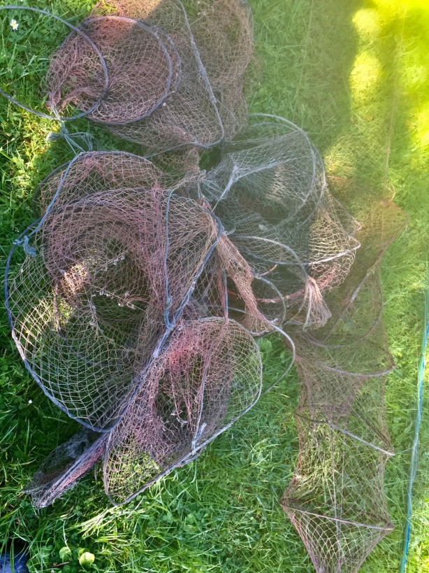 Foto - Efteni Gölü'nde kaçak avlanmaya geçit yok