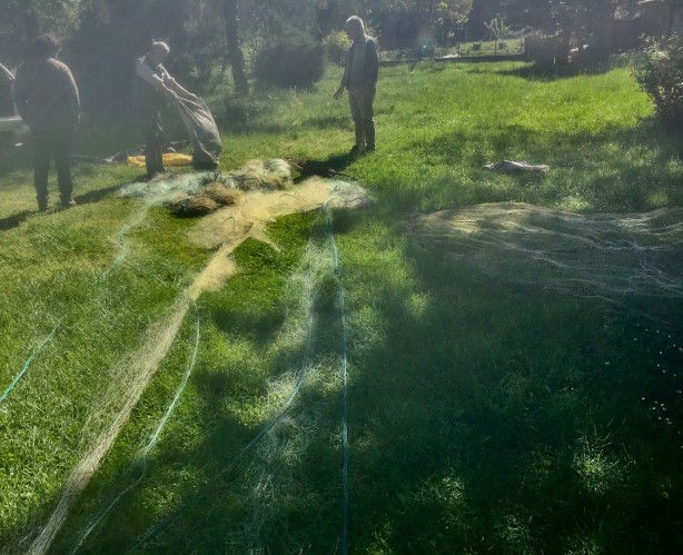 Foto - Efteni Gölü'nde kaçak avlanmaya geçit yok