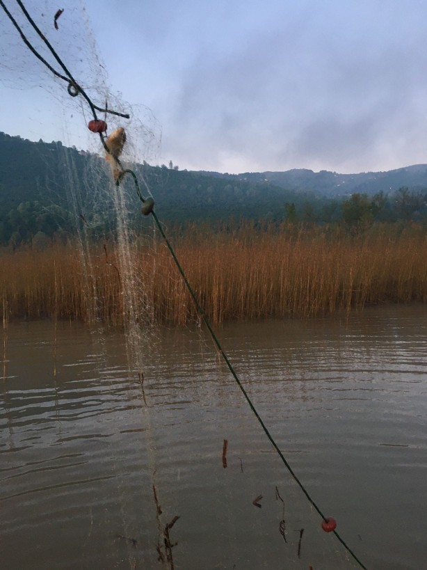Efteni Gölü'nde kaçak avlanmaya geçit yok