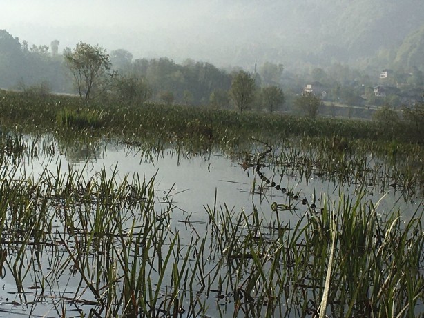 Foto - Efteni Gölü'nde kaçak avlanmaya geçit yok