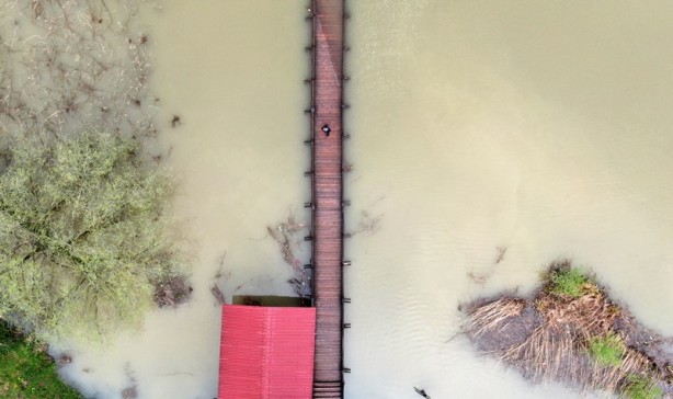 Foto - Efteni Kuş Cenneti Gölü havzası suya doydu