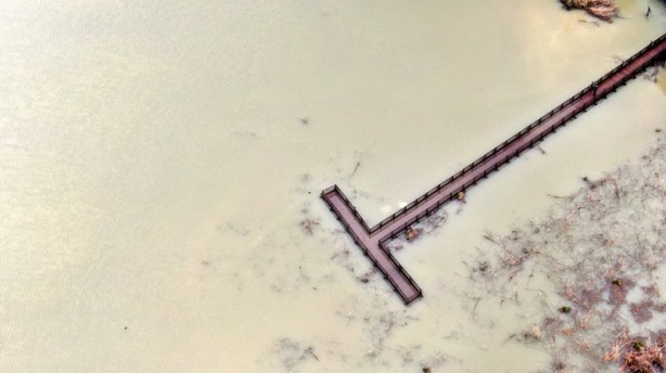 Foto - Efteni Kuş Cenneti Gölü havzası suya doydu