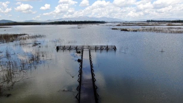 Efteni Kuş Cenneti Gölü havzası suya doydu